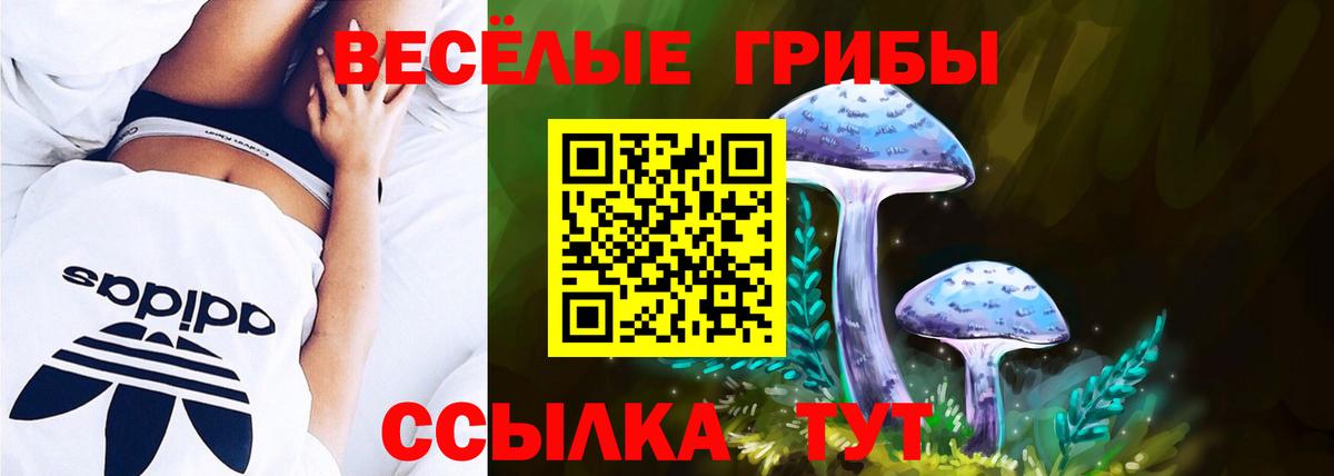 Галлюциногенные грибы прущие грибы Касимов